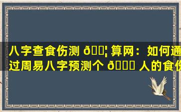 八字查食伤测 🐦 算网：如何通过周易八字预测个 🐝 人的食伤运势